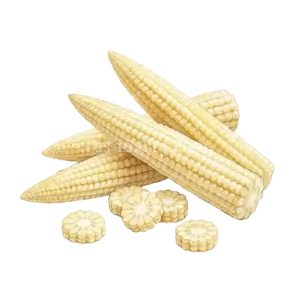 玉米-玉米筍