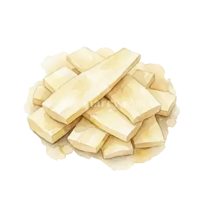 桶筍-麻竹筍