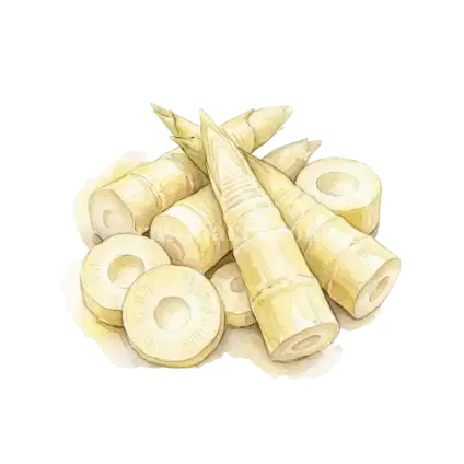 桶筍-桂竹筍
