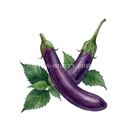 茄子-麻荸茄