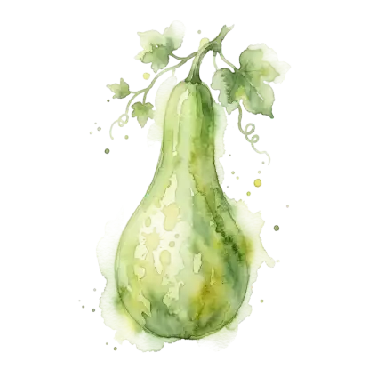 扁蒲-花蒲(台北二)