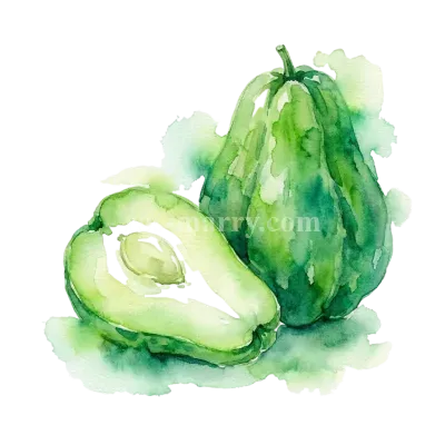 隼人瓜
