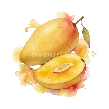 芒果-西施