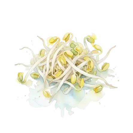 芽菜類-綠豆芽
