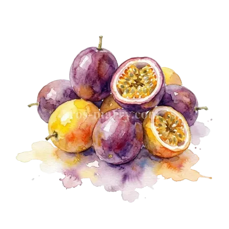 百香果-改良種