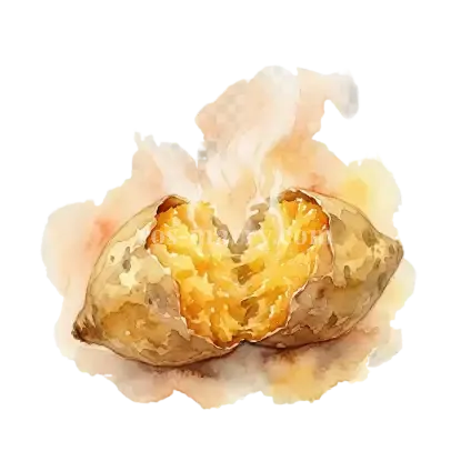 甘薯-臺農57號