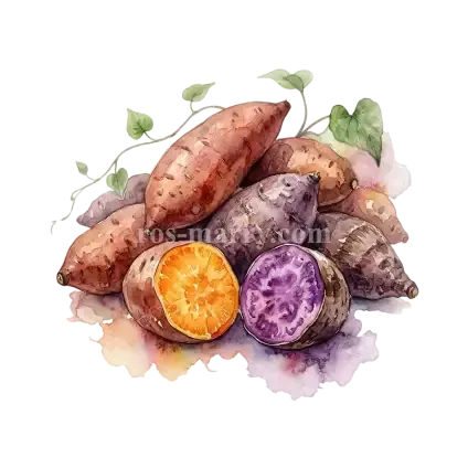 甘薯-芋仔甘薯 - NT$10