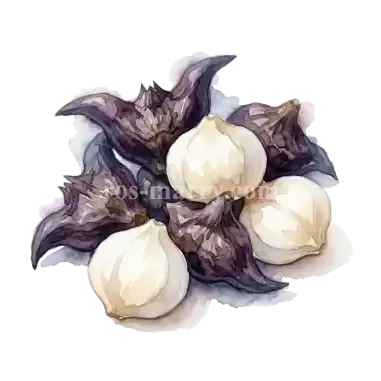 菱角-去殼