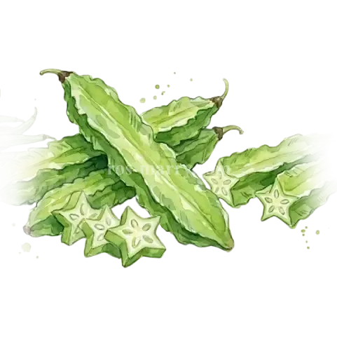 敏豆-翼豆