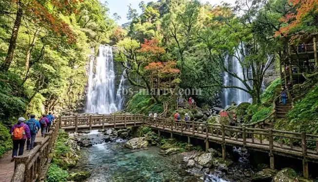 滿月圓國家森林遊樂區