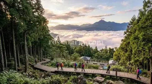 東眼山國家森林遊樂區