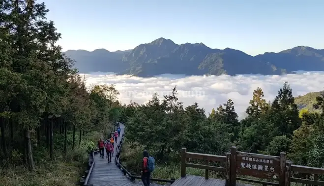 觀霧國家森林遊樂區