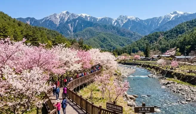 武陵國家森林遊樂區