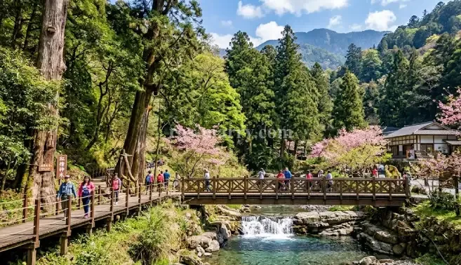 八仙山國家森林遊樂區