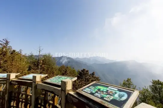 大雪山國家森林遊樂區