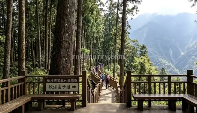 藤枝國家森林遊樂區