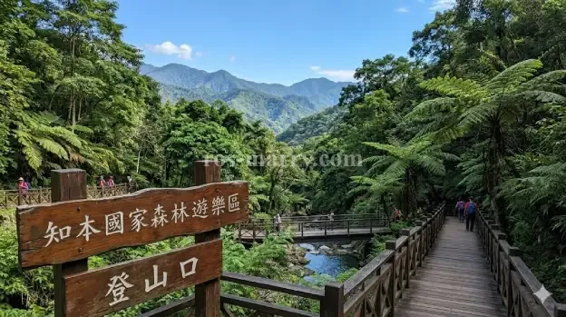 知本國家森林遊樂區