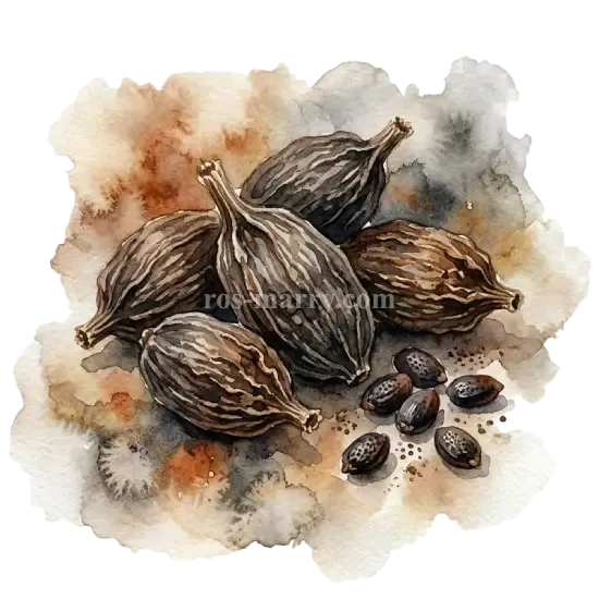 黑豆蔻